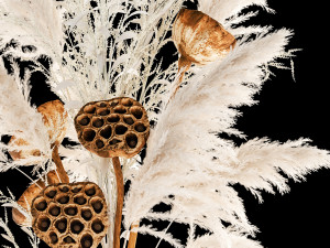 bouquet of dried white flowers in a glass vase 156 3D Model