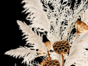 bouquet of dried white flowers in a glass vase 156 3D Model