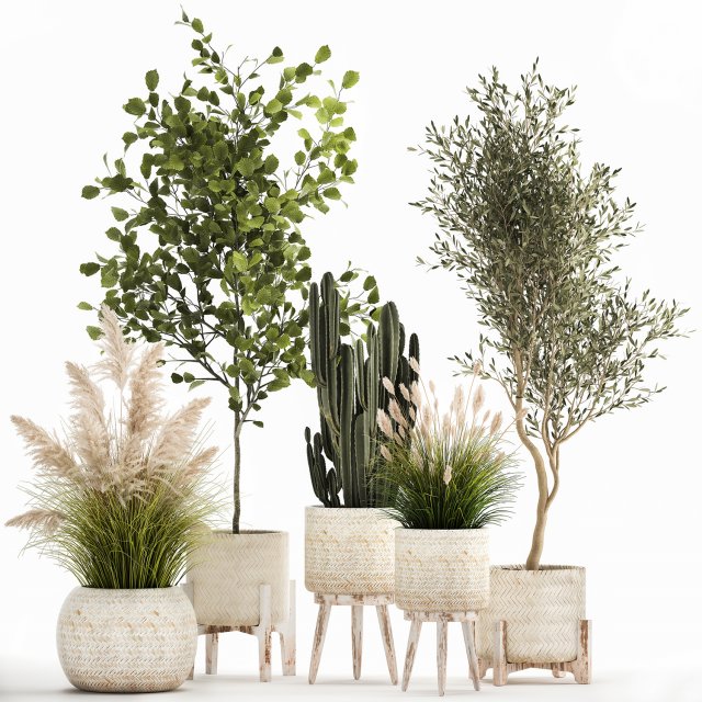ornamental plants in rattan baskets 1035 Modelo 3D .c4d .max .obj .3ds .fbx .stl .blend 