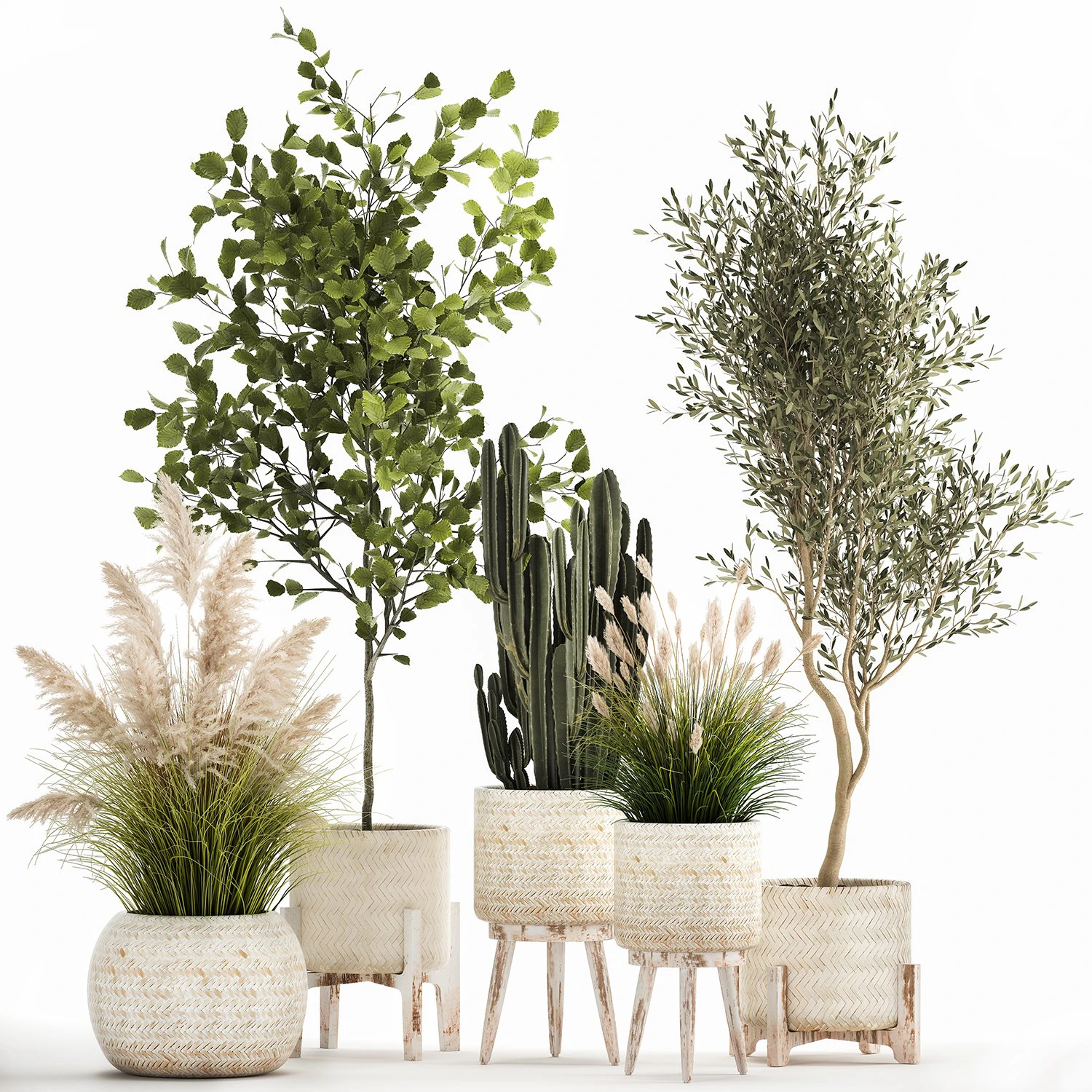 ornamental plants in rattan baskets 1035 3D Model .c4d .max .obj .3ds .fbx .stl .blend 