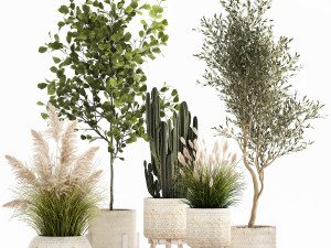 ornamental plants in rattan baskets 1035 3D Model