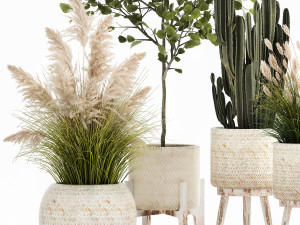 ornamental plants in rattan baskets 1035 Modelo 3D