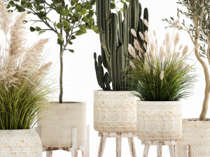 ornamental plants in rattan baskets 1035 Modelo 3D