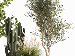 ornamental plants in rattan baskets 1035 Modelo 3D