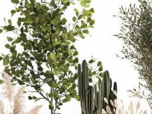 ornamental plants in rattan baskets 1035 3D Model