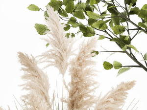 ornamental plants in rattan baskets 1035 Modelo 3D