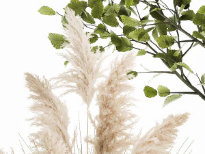 ornamental plants in rattan baskets 1035 3D Model