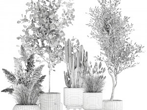 ornamental plants in rattan baskets 1035 Modelo 3D