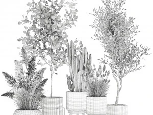ornamental plants in rattan baskets 1035 3D Model