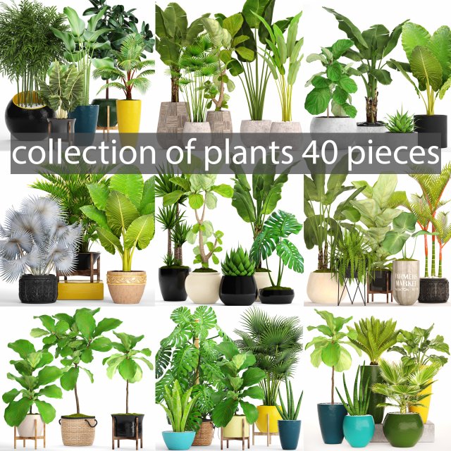 collection of plants 40 pieces a Model 3D .c4d .max .obj .3ds .fbx .stl .blend 