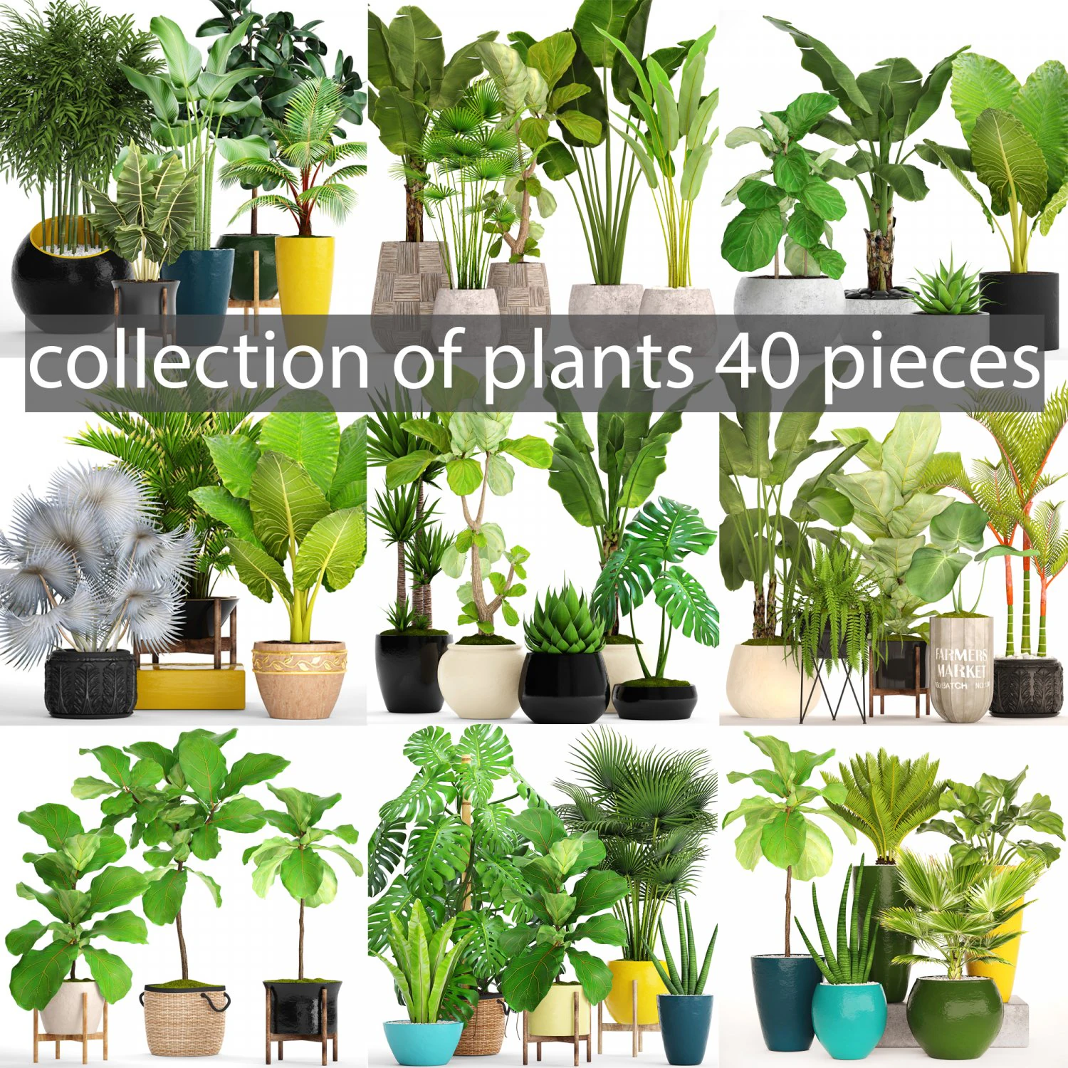 collection of plants 40 pieces a 3D Model .c4d .max .obj .3ds .fbx .stl .blend 