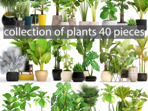 collection of plants 40 pieces a Modèle 3D