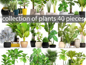 cole&ccedil;&atilde;o de plantas 40 pe&ccedil;as por Modelo 3D