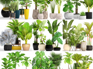 collection of plants 40 pieces a Model 3D