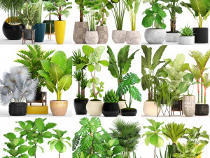 collection of plants 40 pieces a 3D Model