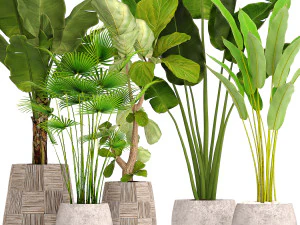 collection of plants 40 pieces a 3D Model