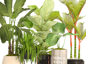collection of plants 40 pieces a 3D Model