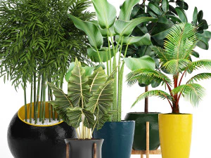 collection of plants 40 pieces a 3D Model