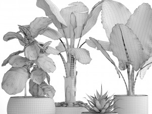 collection of plants 40 pieces a Model 3D