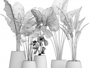 collection of plants 40 pieces a Model 3D