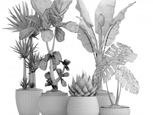 collection of plants 40 pieces a 3D Model