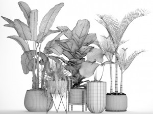 collection of plants 40 pieces a Model 3D