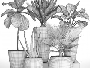 collection of plants 40 pieces a Model 3D