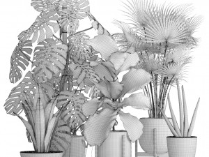 collection of plants 40 pieces a Model 3D