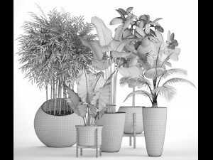 collection of plants 40 pieces a Model 3D