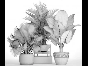 collection of plants 40 pieces a 3D Model