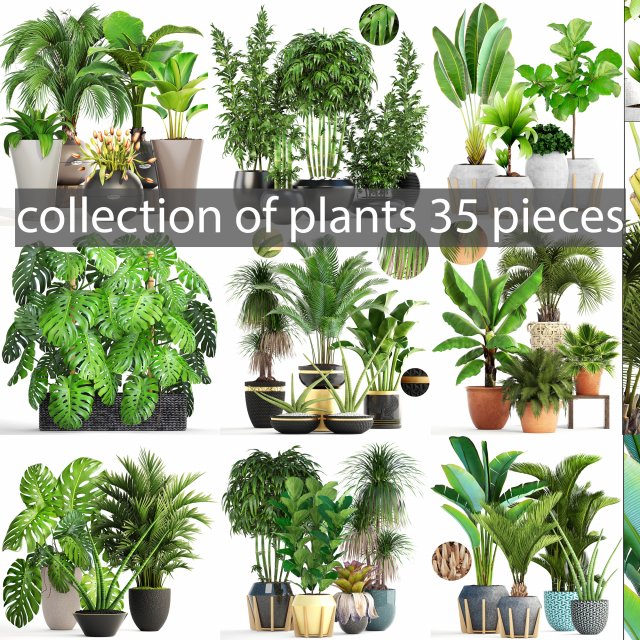 collection of plants 35 pieces b 3D 模型 .c4d .max .obj .3ds .fbx .stl .blend