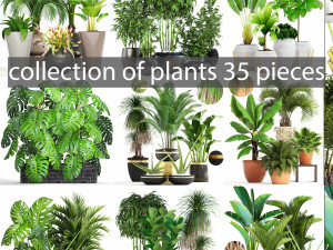 collection of plants 35 pieces b 3D मॉडल