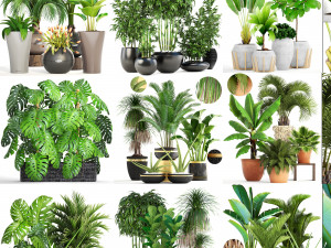 collection of plants 35 pieces b 3D 模型