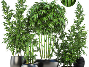 collection of plants 35 pieces b 3D 模型