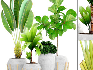 collection of plants 35 pieces b 3D 模型