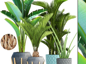 collection of plants 35 pieces b 3D 模型