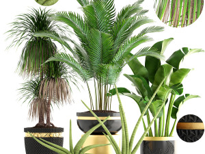 collection of plants 35 pieces b 3D 模型