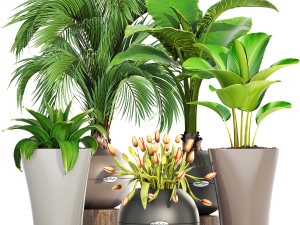 collection of plants 35 pieces b 3D 模型