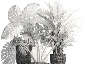 collection of plants 35 pieces b 3D 模型