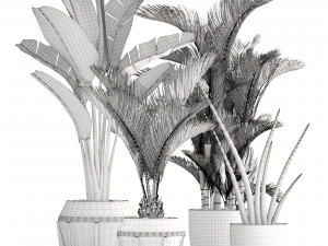 collection of plants 35 pieces b 3D 模型