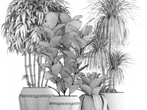 collection of plants 35 pieces b 3D 模型