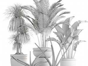 collection of plants 35 pieces b 3D 模型