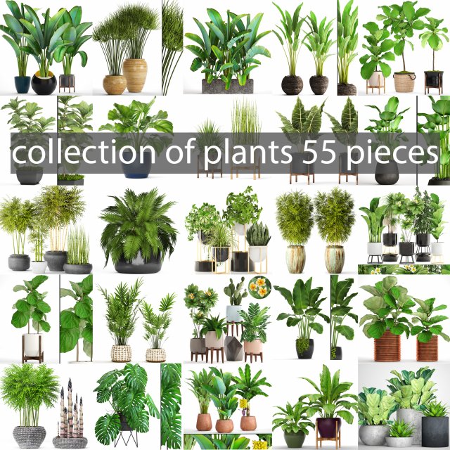 collection of plants 55 pieces 3D Modell .c4d .max .obj .3ds .fbx .stl .blend 