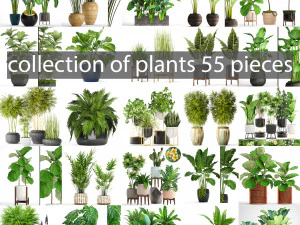 cole&ccedil;&atilde;o de plantas 55 pe&ccedil;as Modelo 3D