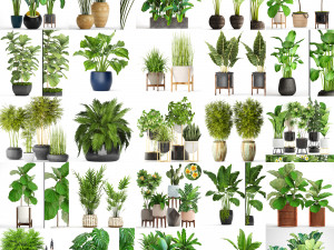 collection of plants 55 pieces 3D Modell