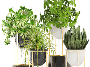 collection of plants 55 pieces 3D Modell