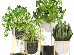 collection of plants 55 pieces 3D Model