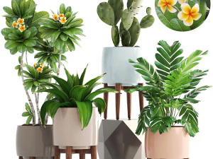 collection of plants 55 pieces 3D Model