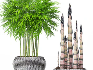 collection of plants 55 pieces 3D Model
