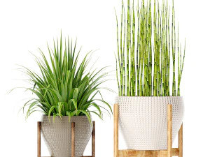 collection of plants 55 pieces 3D Model